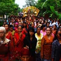 Hebohnya Tradisi Arak-arakan Pengantin Suku Using
