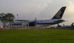 Bagasi Hilang, 10-an Penumpang SQ Singapura-Jakarta Ribut di Cengkareng