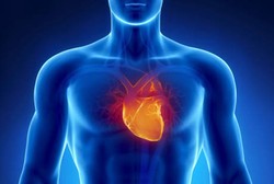 Inilah Organ-organ yang Dirusak oleh Diabetes