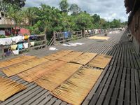Rumah Dayak Panjangnya 180 Meter, Seperti Apa Isinya?