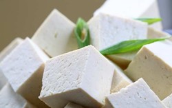 Olahan Tahu Istimewa a la Chef Pemenang Iron Chef Amerika