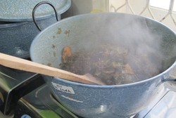 Tanaman Obat di China Banyak Diekspor karena Teruji Kualitasnya