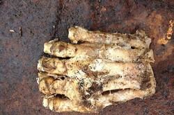 Diduga Kaki Monster Bigfoot Ditemukan di Massachusetts