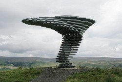 Ajaib! Pohon Ini Bisa Bernyanyi