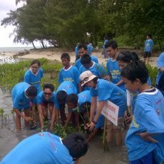 Demi Bumi, Tanam Mangroove dan Adopsi Terumbu Karang di P Pramuka