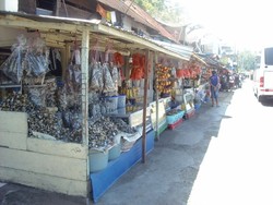 Traveling ke Danau Singkarak, Wajib Beli Ikan Bilih