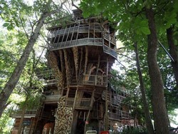 Rumah Pohon Terbesar di Dunia, Punya 10 Lantai!