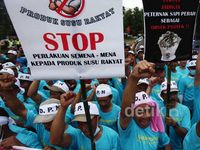 Kantor Hatta Rajasa Didemo Peternak Susu