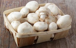 Ganti Konsumsi Daging Merah dengan Jamur Agar Berat Badan Cepat Turun