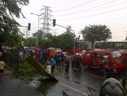 23 Pohon Tumbang di Jakarta, 1 Rumah dan 2 Mobil Rusak