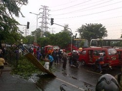 Pohon Tumbang di Jl Letjen Sutoyo, Lalu Lintas Perempatan PGC Macet