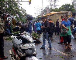 Pohon Tumbang Timpa Motor di Cililitan