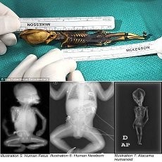 Misteri Alien yang Ditemukan di Chili 10 Tahun Lalu Terkuak