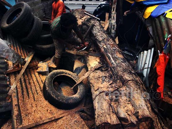 Pohon Tumbang di Jl Otista Dibersihkan