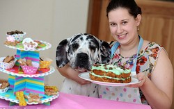 Anjing Kesayangan Ulang Tahun? Bakery Ini Membuat Kue Khusus Hewan