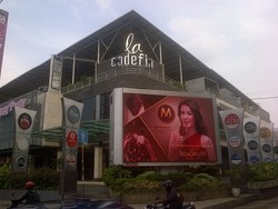 Kopi Luwak Terakhir Uje