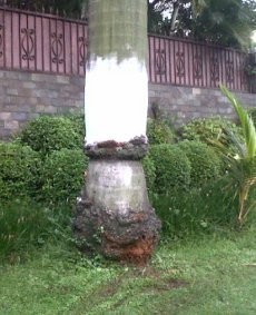 Ini Dia Lokasi Kecelakaan Ustad Uje di Pondok Indah