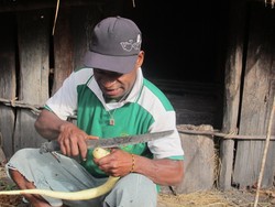 Perhatikan, Begini Cara Membuat Koteka