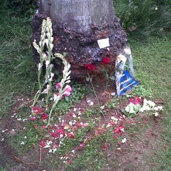 Lokasi Kecelakaan Uje Masih Jadi Tontonan Warga