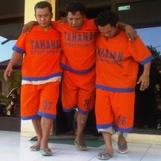 Tikus Pembobol Gudang Beras Didor