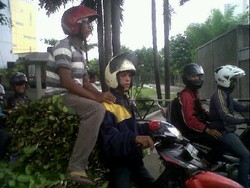 Bawa Tumpukan Daun Berlebih, Pemotor Nekat Ini Melintas di Cawang