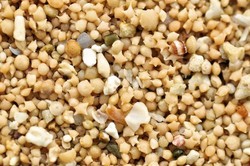 Keren! Jepang Punya Pantai Berpasir Bintang