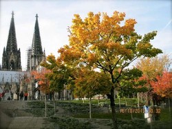 Ke Cologne Jangan Cuma Cari Parfum, Ada Gereja Gotik Keren