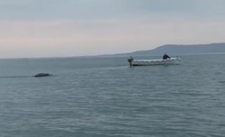 Video Wisatawan Rekam Monster Air Bikin Heboh di Youtube