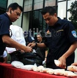 Ini Alasan Bandar Narkotika Incar Artis