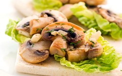 Mulai Tidak Enak Badan? Mulailah Konsumsi Jamur Kaya Nutrisi Ini