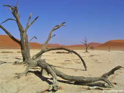 Inikah Padang Pasir Paling Mematikan di Dunia?