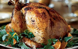 Kalkun Ternyata Juga Disuntik Antibiotik