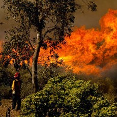 Kebakaran Hutan Landa Los Angeles, Ratusan Warga Mengungsi