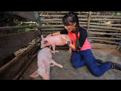 Cinderamata Nusa Cendana