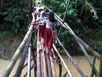 Anak SD Meniti Jembatan Bambu di Lebak