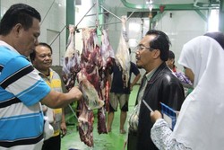  Kementan Sebut Harga Daging di Daerah Turun Jadi Rp 80 Ribu/Kg