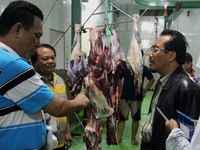 Harga Daging Sapi di Daerah Mulai Turun