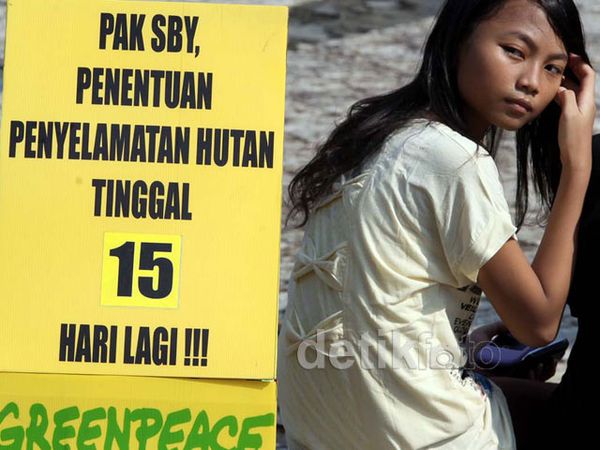 Greenpeace Minta Perpanjagan Penyelamatan Hutan
