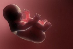 Adopsi Anak, Kualitas Hidup Pasutri yang Gagal Bayi Tabung Meningkat
