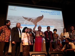 Lembata Siap Unjuk Gigi di Rally Wisata Bahari Lembata 2013