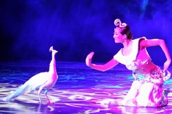 Terkesima Tarian Modern China di Shenzhen