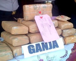 Satpam dan Residivis Pemilik 20 Kg Ganja Ditangkap di Kalideres
