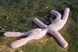 Unik! Italia Punya Kelinci Raksasa yang Tampak dari Angkasa