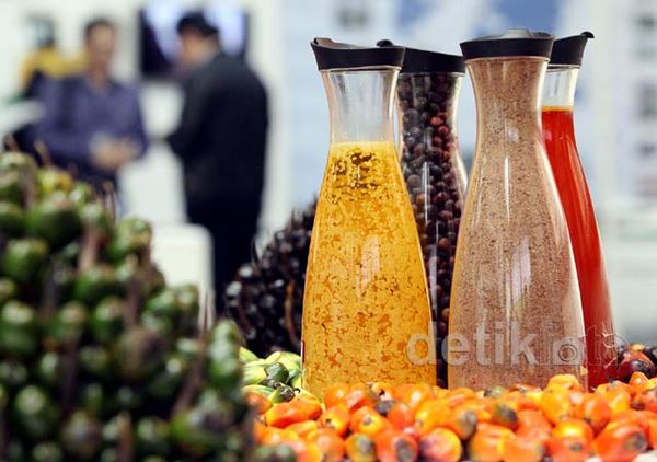 Sertifikasi Sawit Ala Indonesia Mulai Diakui