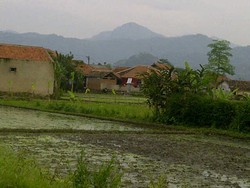 Polisi Gunakan Peledak untuk Jebol Kontrakan Teroris