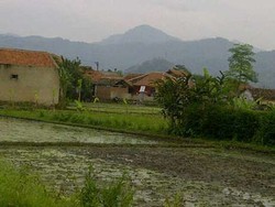 3 Teroris yang Diserbu Densus 88 di Rumah Kontrakan Tewas