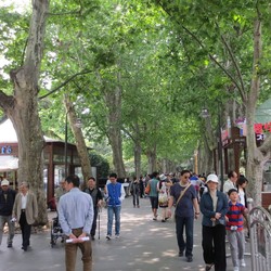 Semoga Ada Taman Kota Seperti Ini di Jakarta