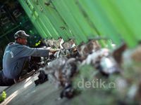 Perawatan JPO di Asia Afrika