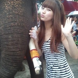 Pose Imut Suzy miss A Bareng Gajah Jadi Perbincangan Hangat