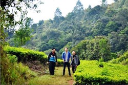 Kemping di Gunung Putri, Seru Banget!
